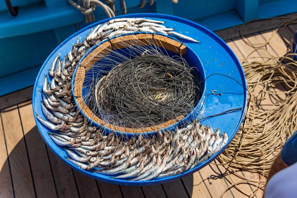 Pescatore durante la fishing experience a Capri con pranzo a bordo