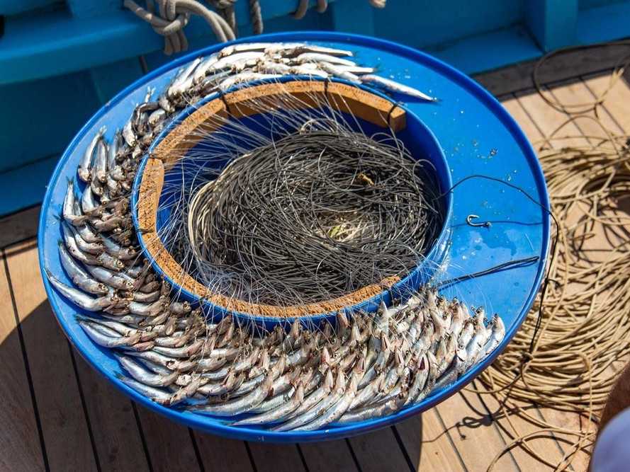 GOLDENTOURS INTERNATIONAL