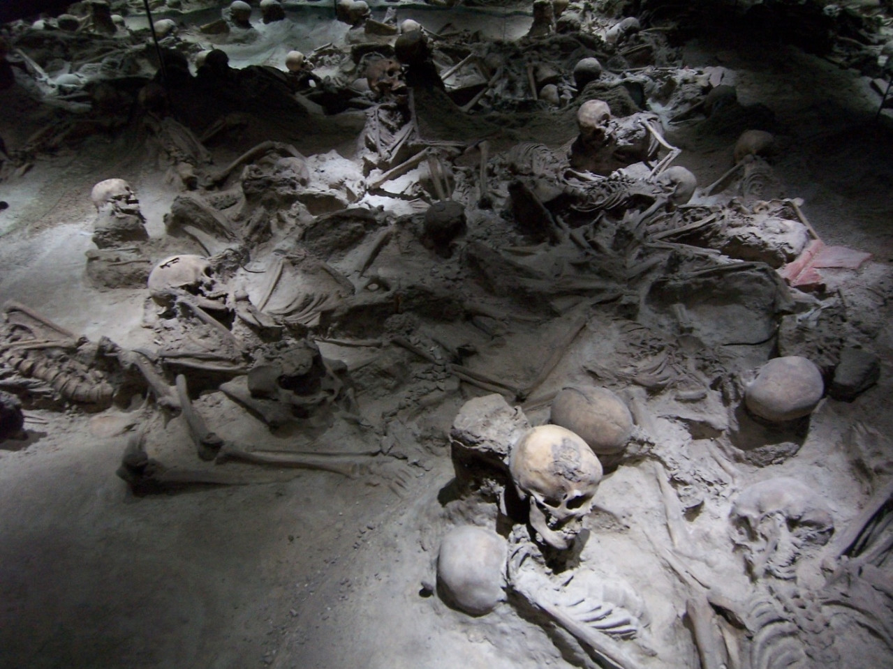 GOLDENTOURS INTERNATIONAL