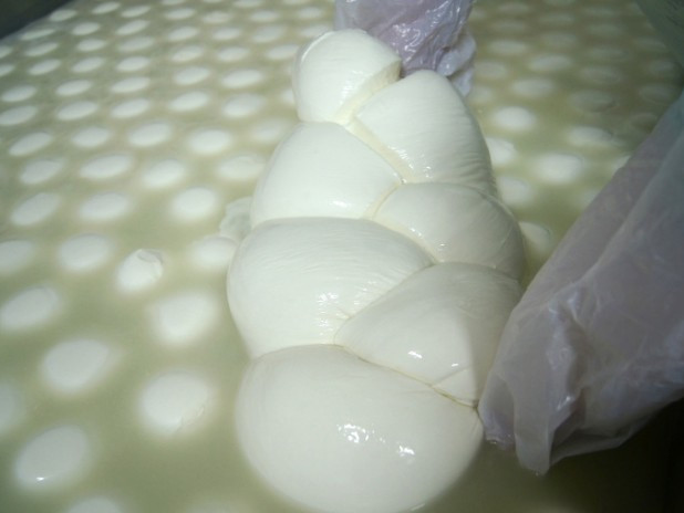 GOLDENTOURS INTERNATIONAL