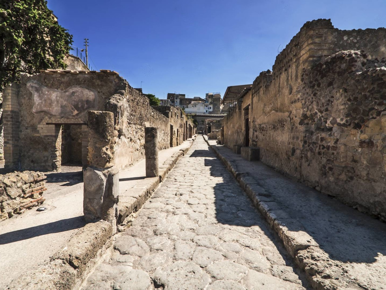 Private Excursion - Half day in Pompeii